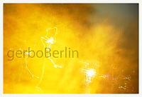 Feuertanz