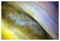 Katerview Wimpern